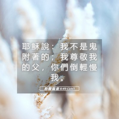 Picture 05 - 約 翰 福 音 8:49 CUVT - 耶 穌 說 ： 我 不 是 鬼 附 著 的 ； - Bible Verse Picture