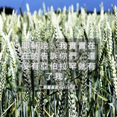 Picture 05 - 約 翰 福 音 8:58 CUVT - 耶 穌 說 ： 我 實 實 在 在 的 告 訴 - Bible Verse Picture