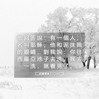 Picture 05 - 約 翰 福 音 9:11 CUVT - 他 回 答 說 ： 有 一 個 人 ， 名 叫 - Bible Verse Picture