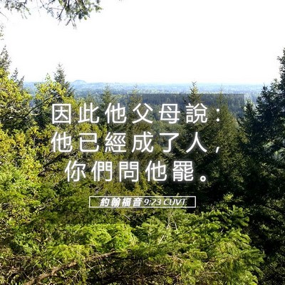 Picture 05 - 約 翰 福 音 9:23 CUVT - 因 此 他 父 母 說 ： 他 已 經 成 了 - Bible Verse Picture