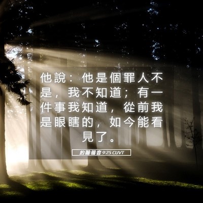 Picture 05 - 約 翰 福 音 9:25 CUVT - 他 說 ： 他 是 個 罪 人 不 是 ， 我 - Bible Verse Picture