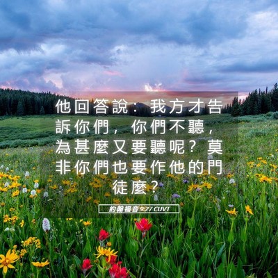 Picture 05 - 約 翰 福 音 9:27 CUVT - 他 回 答 說 ： 我 方 才 告 訴 你 們 - Bible Verse Picture