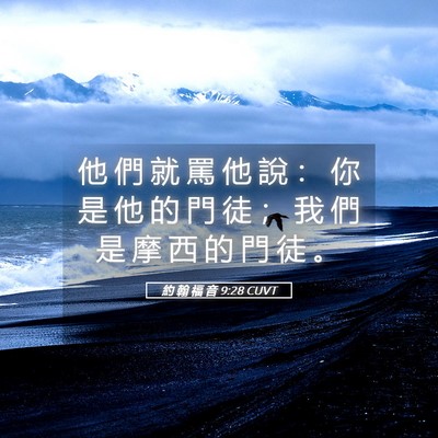 Picture 05 - 約 翰 福 音 9:28 CUVT - 他 們 就 罵 他 說 ： 你 是 他 的 門 - Bible Verse Picture