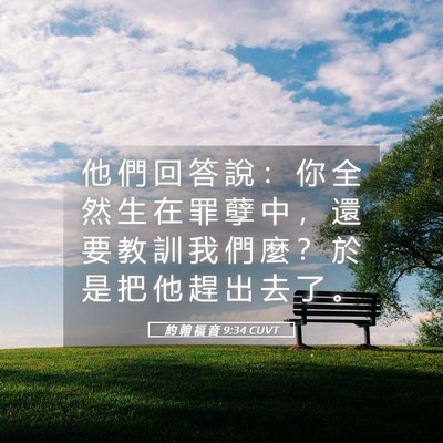 Picture 05 - 約 翰 福 音 9:34 CUVT - 他 們 回 答 說 ： 你 全 然 生 在 罪 - Bible Verse Picture