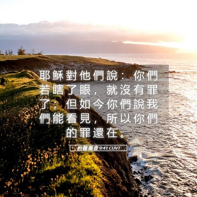 Picture 05 - 約 翰 福 音 9:41 CUVT - 耶 穌 對 他 們 說 ： 你 們 若 瞎 了 - Bible Verse Picture