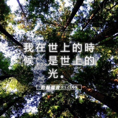 Picture 05 - 約 翰 福 音 9:5 CUVT - 我 在 世 上 的 時 候 ， 是 世 上 的 - Bible Verse Picture