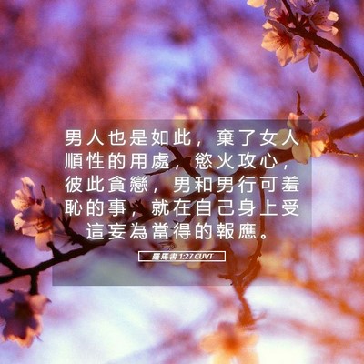 Picture 05 - 羅 馬 書 1:27 CUVT - 男 人 也 是 如 此 ， 棄 了 女 人 順 - Bible Verse Picture