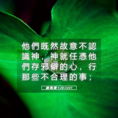 Picture 05 - 羅 馬 書 1:28 CUVT - 他 們 既 然 故 意 不 認 識 神 ， 神 - Bible Verse Picture
