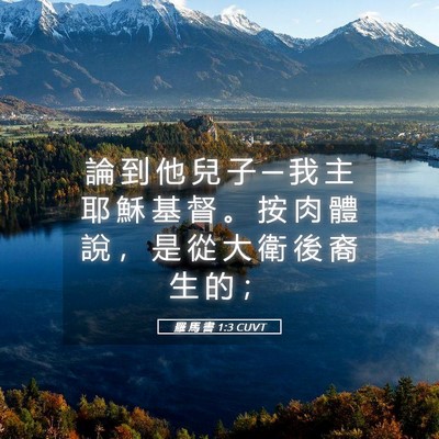 Picture 05 - 羅 馬 書 1:3 CUVT - 論 到 他 兒 子 ─ 我 主 耶 穌 基 督 - Bible Verse Picture