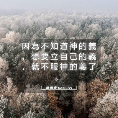Picture 05 - 羅 馬 書 10:3 CUVT - 因 為 不 知 道 神 的 義 ， 想 要 立 - Bible Verse Picture