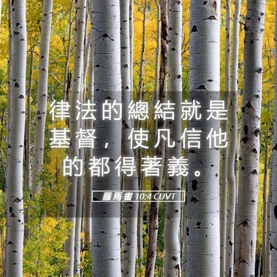 Picture 05 - 羅 馬 書 10:4 CUVT - 律 法 的 總 結 就 是 基 督 ， 使 凡 - Bible Verse Picture