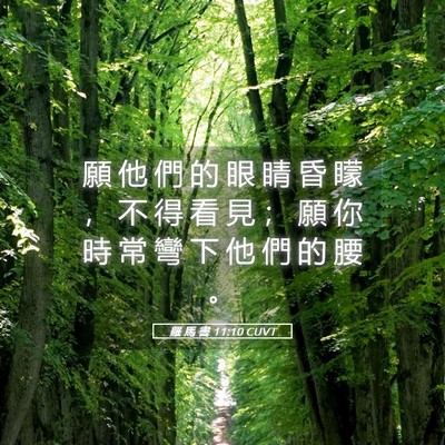 Picture 05 - 羅 馬 書 11:10 CUVT - 願 他 們 的 眼 睛 昏 矇 ， 不 得 看 - Bible Verse Picture