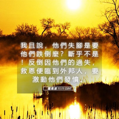 Picture 05 - 羅 馬 書 11:11 CUVT - 我 且 說 ， 他 們 失 腳 是 要 他 們 - Bible Verse Picture