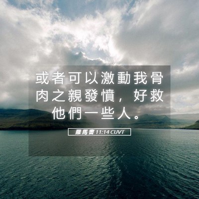Picture 05 - 羅 馬 書 11:14 CUVT - 或 者 可 以 激 動 我 骨 肉 之 親 發 - Bible Verse Picture
