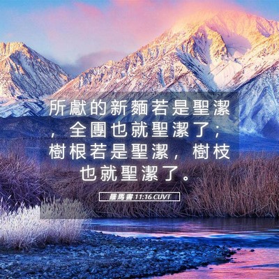 Picture 05 - 羅 馬 書 11:16 CUVT - 所 獻 的 新 麵 若 是 聖 潔 ， 全 團 - Bible Verse Picture
