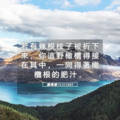 Picture 05 - 羅 馬 書 11:17 CUVT - 若 有 幾 根 枝 子 被 折 下 來 ， 你 - Bible Verse Picture