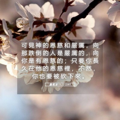 Picture 05 - 羅 馬 書 11:22 CUVT - 可 見 神 的 恩 慈 和 嚴 厲 ， 向 那 - Bible Verse Picture