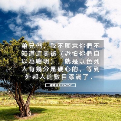 Picture 05 - 羅 馬 書 11:25 CUVT - 弟 兄 們 ， 我 不 願 意 你 們 不 知 - Bible Verse Picture
