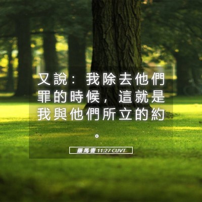 Picture 05 - 羅 馬 書 11:27 CUVT - 又 說 ： 我 除 去 他 們 罪 的 時 候 - Bible Verse Picture