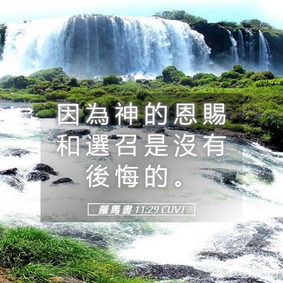 Picture 05 - 羅 馬 書 11:29 CUVT - 因 為 神 的 恩 賜 和 選 召 是 沒 有 - Bible Verse Picture