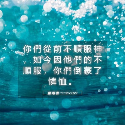 Picture 05 - 羅 馬 書 11:30 CUVT - 你 們 從 前 不 順 服 神 ， 如 今 因 - Bible Verse Picture