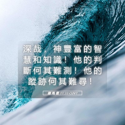 Picture 05 - 羅 馬 書 11:33 CUVT - 深 哉 ， 神 豐 富 的 智 慧 和 知 識 - Bible Verse Picture