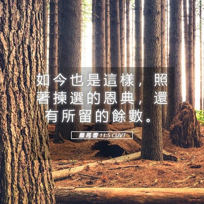 Picture 05 - 羅 馬 書 11:5 CUVT - 如 今 也 是 這 樣 ， 照 著 揀 選 的 - Bible Verse Picture