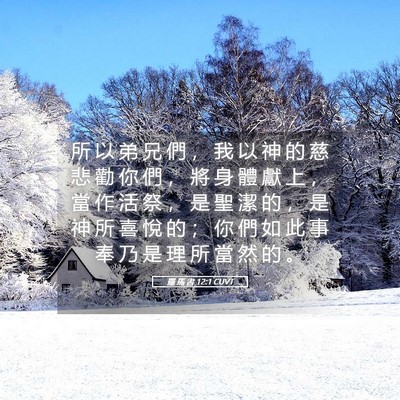 Picture 05 - 羅 馬 書 12:1 CUVT - 所 以 弟 兄 們 ， 我 以 神 的 慈 悲 - Bible Verse Picture