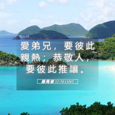 Picture 05 - 羅 馬 書 12:10 CUVT - 愛 弟 兄 ， 要 彼 此 親 熱 ； 恭 敬 - Bible Verse Picture