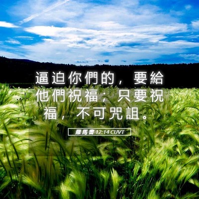 Picture 05 - 羅 馬 書 12:14 CUVT - 逼 迫 你 們 的 ， 要 給 他 們 祝 福 - Bible Verse Picture