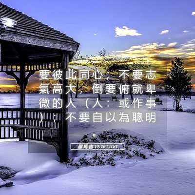 Picture 05 - 羅 馬 書 12:16 CUVT - 要 彼 此 同 心 ； 不 要 志 氣 高 大 - Bible Verse Picture