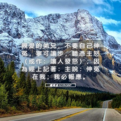 Picture 05 - 羅 馬 書 12:19 CUVT - 親 愛 的 弟 兄 ， 不 要 自 己 伸 冤 - Bible Verse Picture