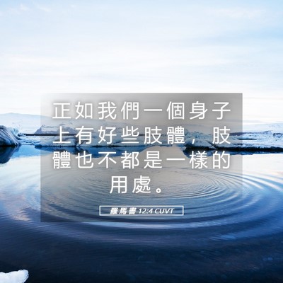 Picture 05 - 羅 馬 書 12:4 CUVT - 正 如 我 們 一 個 身 子 上 有 好 些 - Bible Verse Picture