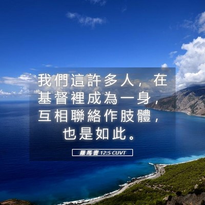 Picture 05 - 羅 馬 書 12:5 CUVT - 我 們 這 許 多 人 ， 在 基 督 裡 成 - Bible Verse Picture