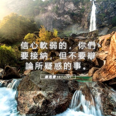 Picture 05 - 羅 馬 書 14:1 CUVT - 信 心 軟 弱 的 ， 你 們 要 接 納 ， - Bible Verse Picture