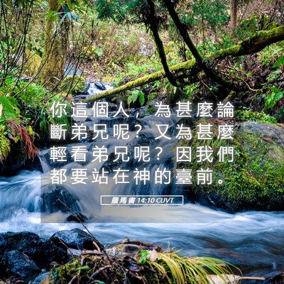 Picture 05 - 羅 馬 書 14:10 CUVT - 你 這 個 人 ， 為 甚 麼 論 斷 弟 兄 - Bible Verse Picture