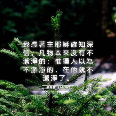 Picture 05 - 羅 馬 書 14:14 CUVT - 我 憑 著 主 耶 穌 確 知 深 信 ， 凡 - Bible Verse Picture