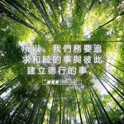 Picture 05 - 羅 馬 書 14:19 CUVT - 所 以 ， 我 們 務 要 追 求 和 睦 的 - Bible Verse Picture