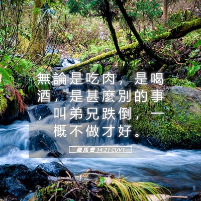 Picture 05 - 羅 馬 書 14:21 CUVT - 無 論 是 吃 肉 ， 是 喝 酒 ， 是 甚 - Bible Verse Picture