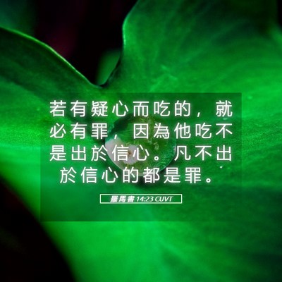 Picture 05 - 羅 馬 書 14:23 CUVT - 若 有 疑 心 而 吃 的 ， 就 必 有 罪 - Bible Verse Picture