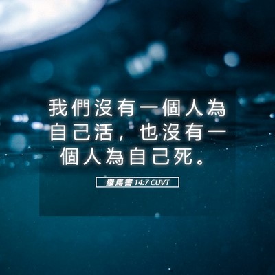 Picture 05 - 羅 馬 書 14:7 CUVT - 我 們 沒 有 一 個 人 為 自 己 活 ， - Bible Verse Picture