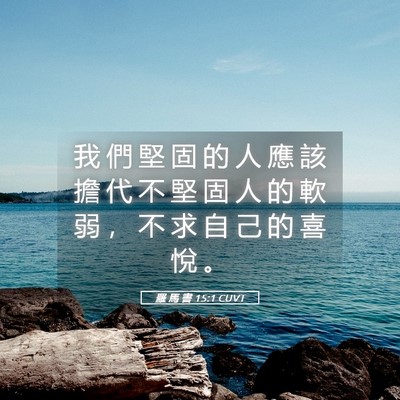 Picture 05 - 羅 馬 書 15:1 CUVT - 我 們 堅 固 的 人 應 該 擔 代 不 堅 - Bible Verse Picture