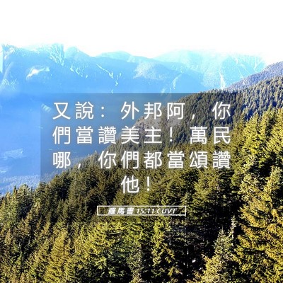 Picture 05 - 羅 馬 書 15:11 CUVT - 又 說 ： 外 邦 阿 ， 你 們 當 讚 美 - Bible Verse Picture