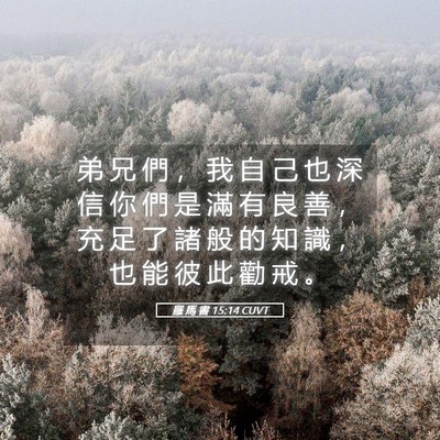 Picture 05 - 羅 馬 書 15:14 CUVT - 弟 兄 們 ， 我 自 己 也 深 信 你 們 - Bible Verse Picture