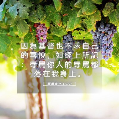 Picture 05 - 羅 馬 書 15:3 CUVT - 因 為 基 督 也 不 求 自 己 的 喜 悅 - Bible Verse Picture