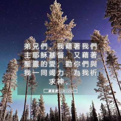 Picture 05 - 羅 馬 書 15:30 CUVT - 弟 兄 們 ， 我 藉 著 我 們 主 耶 穌 - Bible Verse Picture