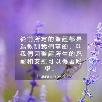 Picture 05 - 羅 馬 書 15:4 CUVT - 從 前 所 寫 的 聖 經 都 是 為 教 訓 - Bible Verse Picture