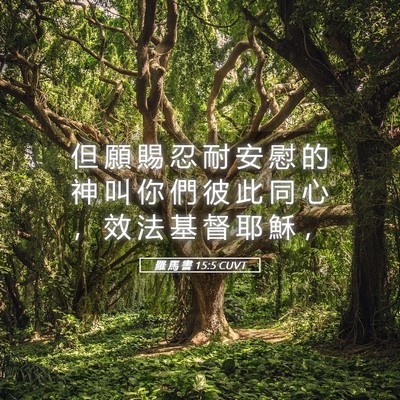 Picture 05 - 羅 馬 書 15:5 CUVT - 但 願 賜 忍 耐 安 慰 的 神 叫 你 們 - Bible Verse Picture
