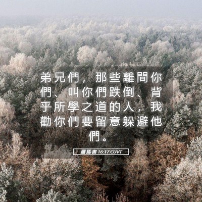 Picture 05 - 羅 馬 書 16:17 CUVT - 弟 兄 們 ， 那 些 離 間 你 們 、 叫 - Bible Verse Picture