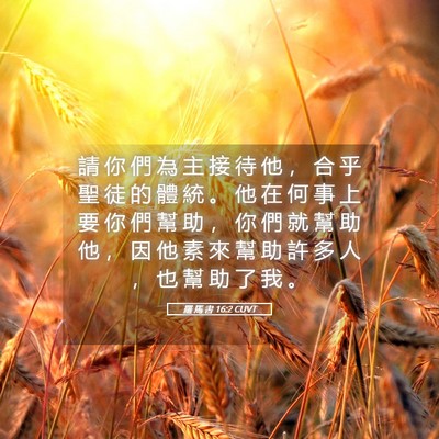Picture 05 - 羅 馬 書 16:2 CUVT - 請 你 們 為 主 接 待 他 ， 合 乎 聖 - Bible Verse Picture